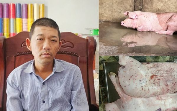 Hậu Giang chỉ đạo nóng sau hình ảnh chấn động của ông Liễu Quý Ngân, xử lý người đóng dấu kiểm dịch thế nào?