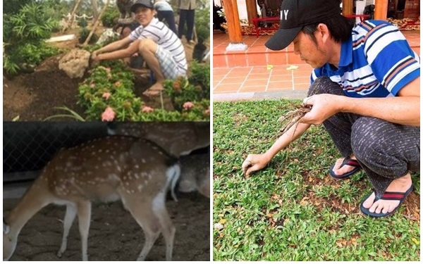 Hình ảnh diễn viên Hoài Linh thu hoạch sầu riêng, măng cụt của vườn nhà trồng được, mời đàn em Mạc Văn Khoa ăn thử: “Ngon gấp vạn lần ngoài chợ, đúng là người giàu tình cảm nên cây trái cũng ngọt theo