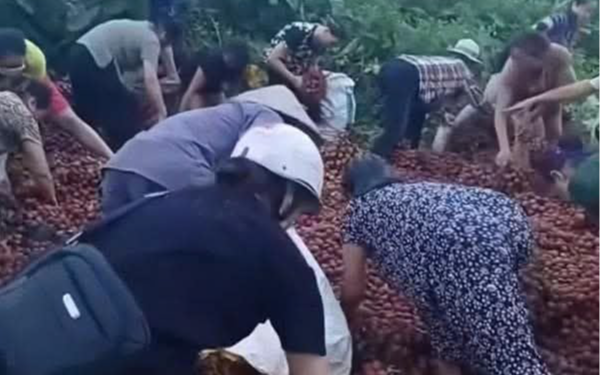 Vụ xe tải gặp nạn, hàng tấn vải rơi ra đường, người dân nhặt gần hết: Chủ xe đã nhận được khoảng 40 triệu đồng